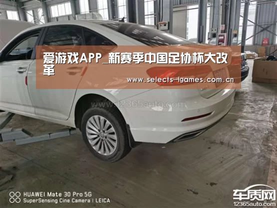 爱游戏APP_新赛季中国足协杯大改革(图4) 爱游戏下载