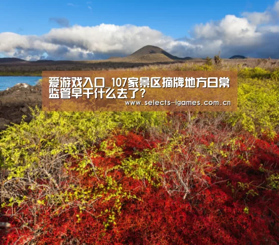 爱游戏入口_107家景区摘牌地方日常监管早干什么去了?