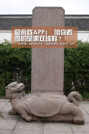 爱游戏APP:
陪你看雪的是哪双球鞋?(图6) 爱游戏入口